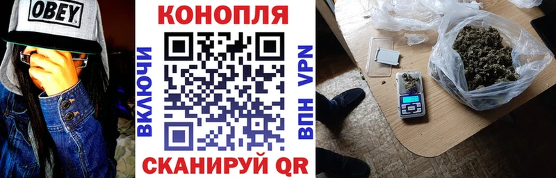 Бошки Шишки ГИДРОПОН Павловский Посад